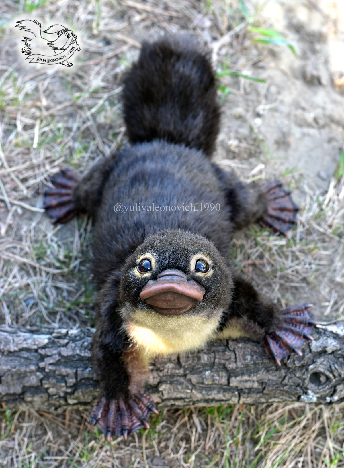 Toy platypus cub