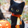 Needle felted black Cat on Halloween