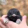 Mole toy