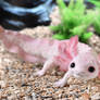 Axolotl toy