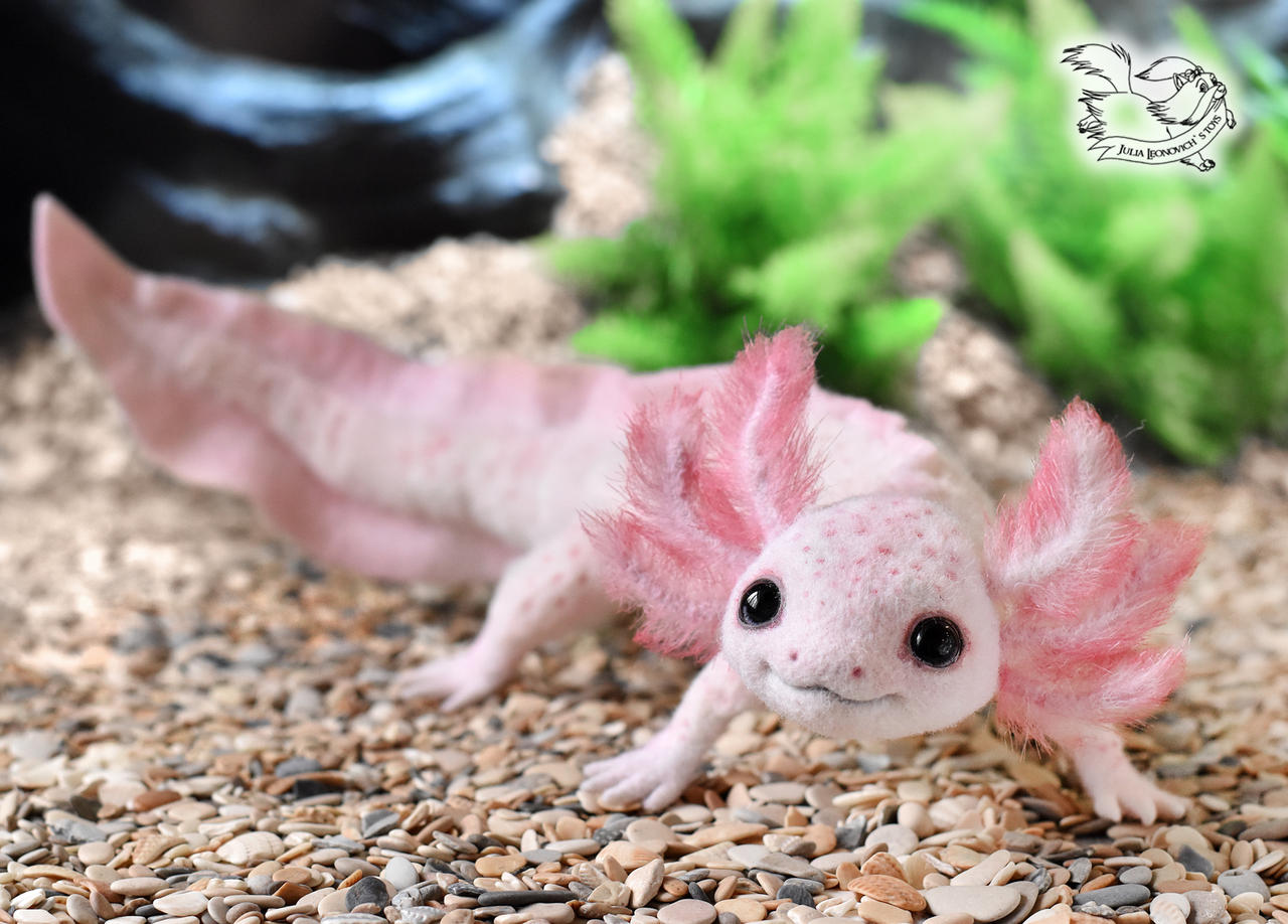 Axolotl toy by YuliaLeonovich on DeviantArt