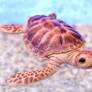 Sea turtle toy
