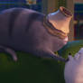 Chloe - 'Sshh' (2)