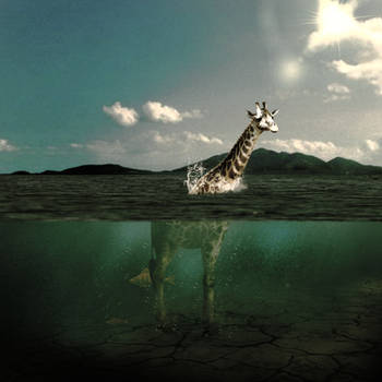 Water Giraffe