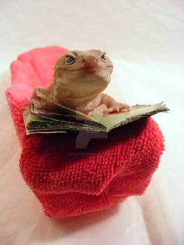 Abbigail Reading On Couch 2