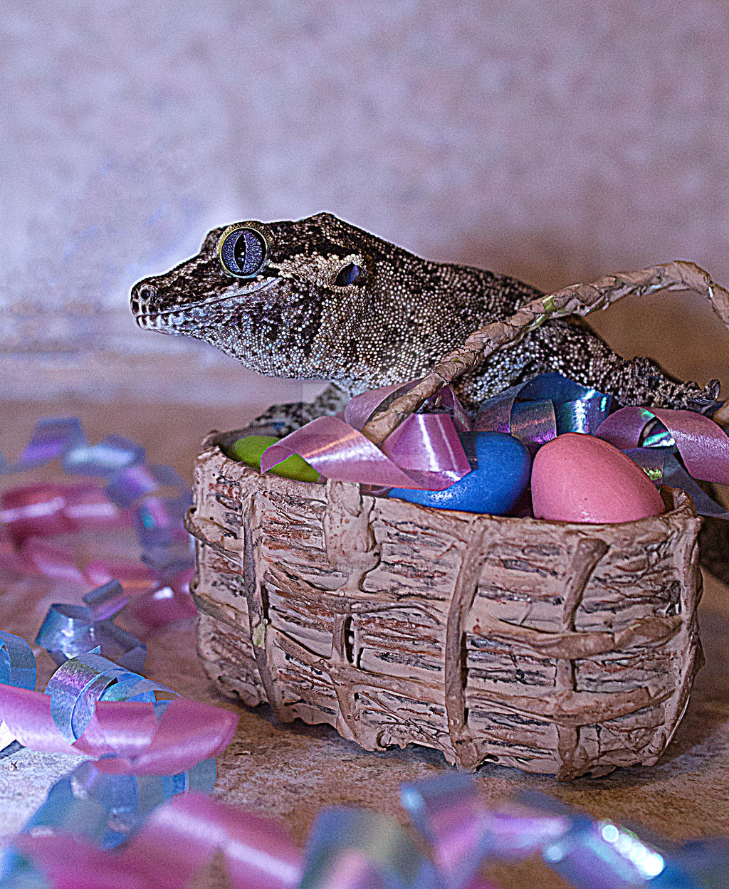 Kratos Easter 2015 -3472