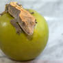 Latest Addition - O-Harlequin Crested Gecko - 5099