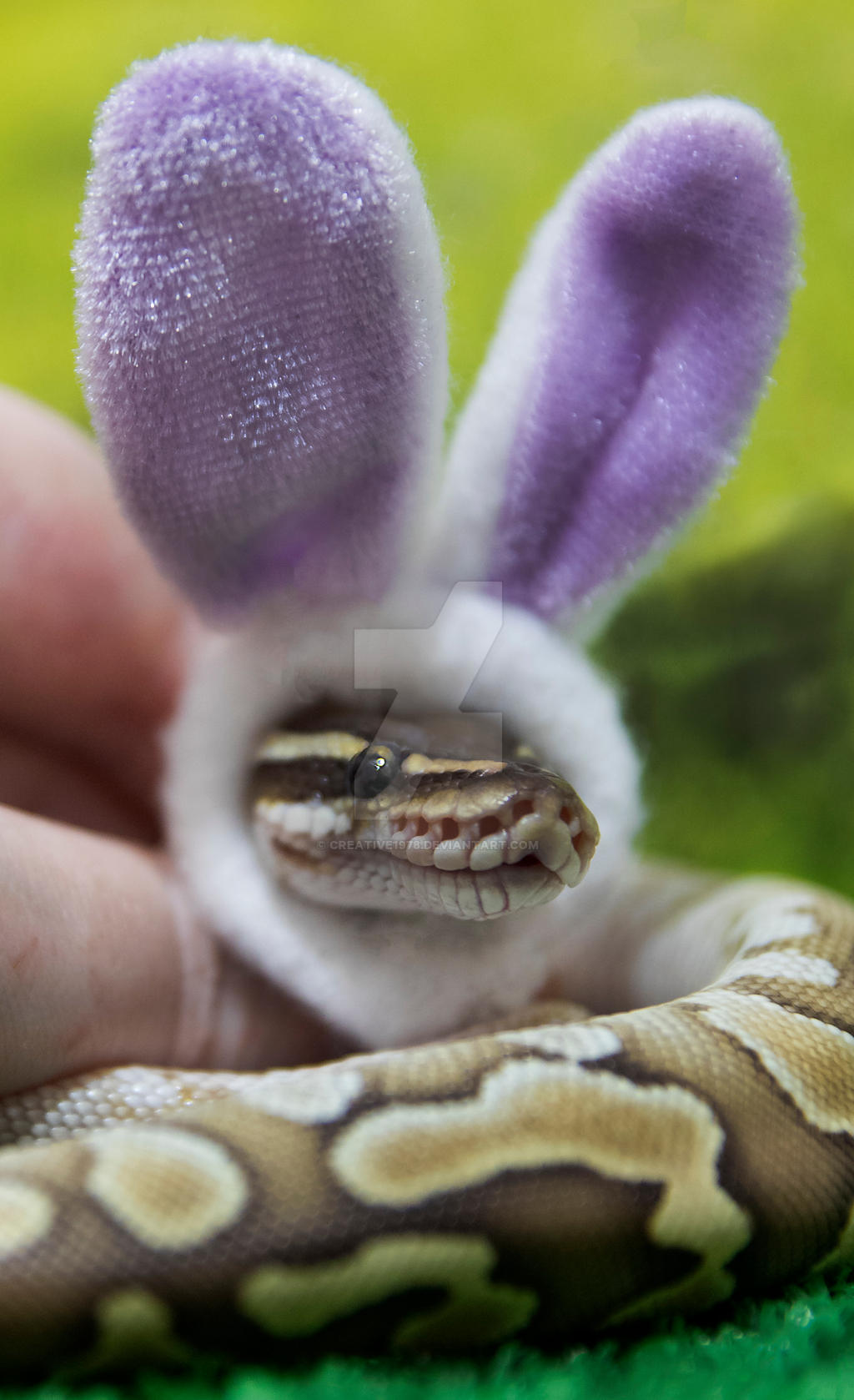 Easter Python Snake The Easter Bunny Snake Has Come To Town - 3948 by creative1978 on ...