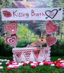 Alan - Kissing Booth - 6499