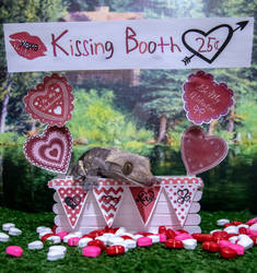 Fabio - Kissing Booth - 6438