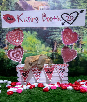 Velvet - Kissing Booth - 6472