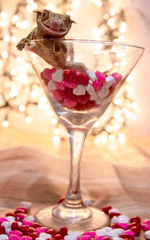 Grim - Valentines Martini - 9388