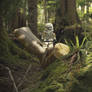 Stormtrooper - ENDOR