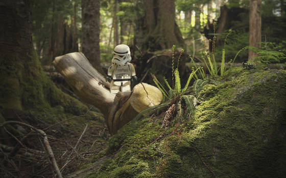 Stormtrooper - ENDOR