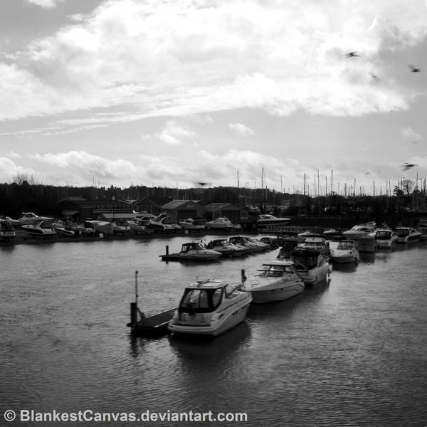 The Forgotten Harbour