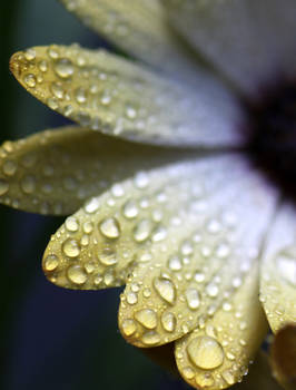 Water drops 84