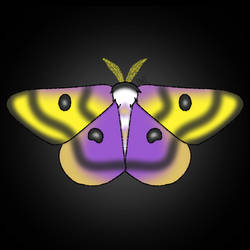 Nonbinary pride moth