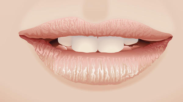 close-up vector lips