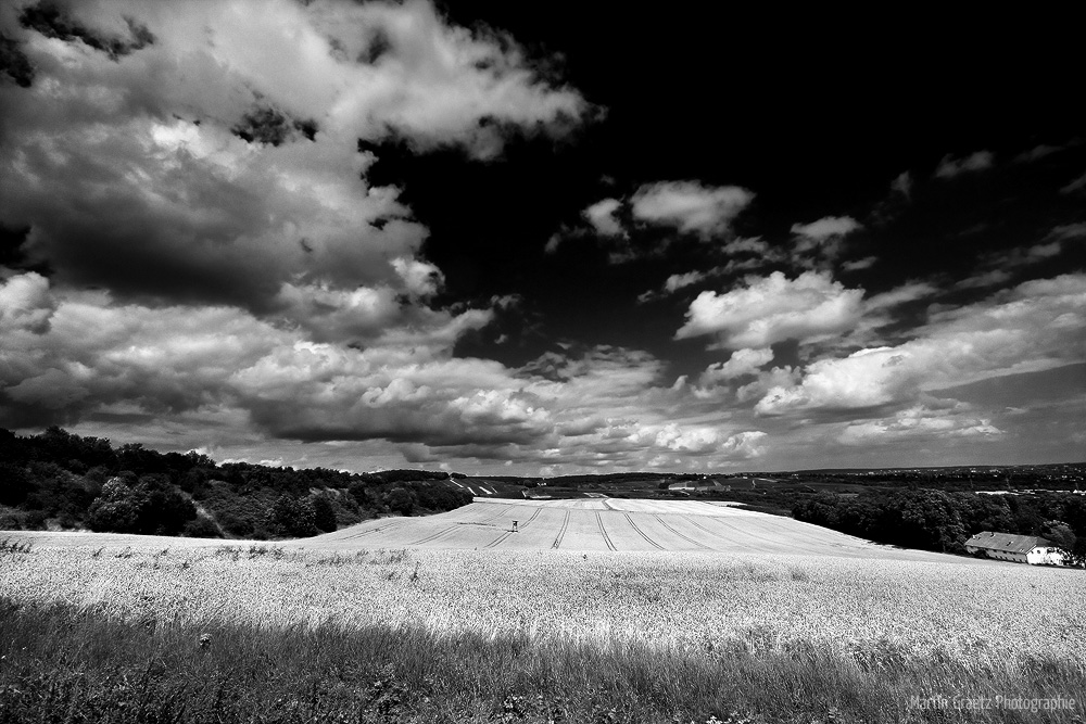 BW Fields