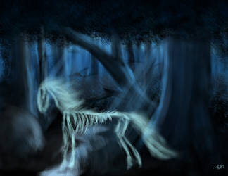 The Ghostly Stallion