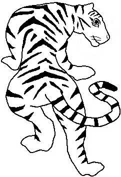 Tiger-stripes