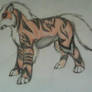 arcanine-akura-