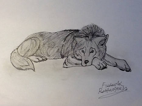 Relaxing wolf