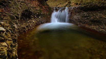 the pond