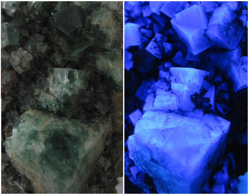 Fluorite - UV fluorescent