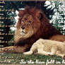 Lion and Lamb