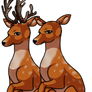 DeerCompilation