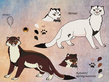 Stoat Layout LewKat - Hobbyist, Digital Artist | DeviantArt