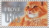 Love Cats by Ramsay-the-Bastard