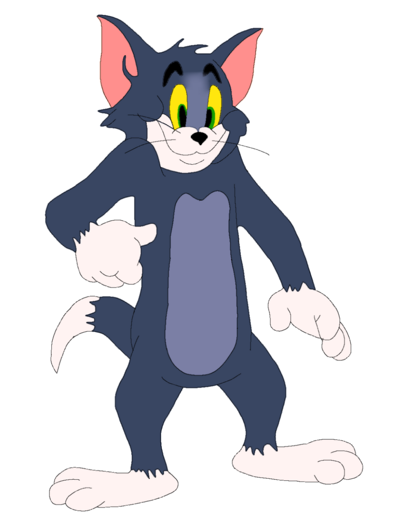 Tom Cat Raging Tom Cat by mansouralawadhi1 on DeviantArt
