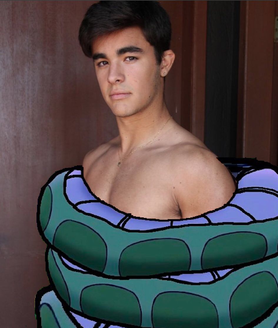 Deviantart Coiled Brazilian Coiled by Someone113 on DeviantArt