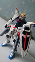 RG Freedom