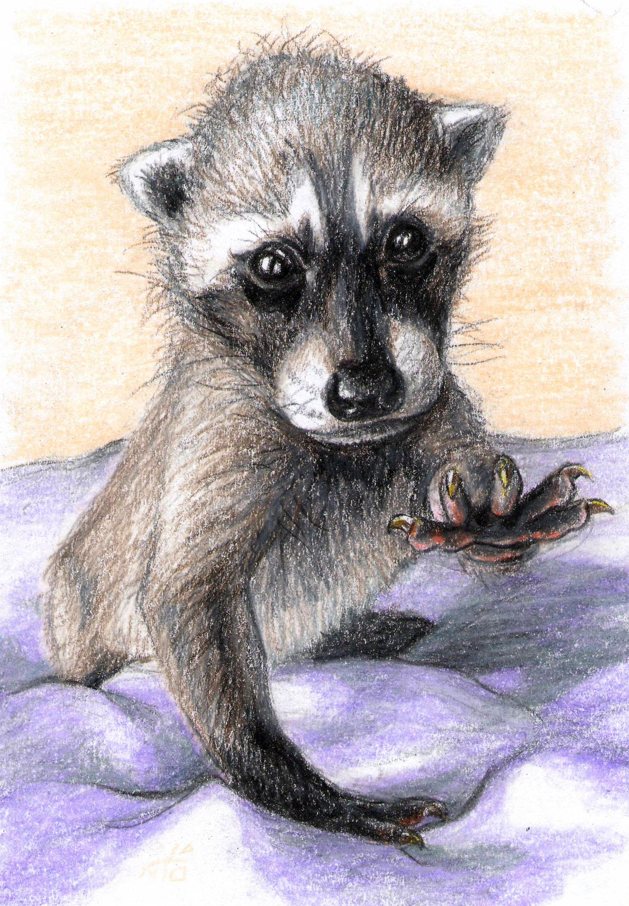 Deviantart Racoon Raccoon by CrixusNiko on DeviantArt