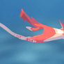 Water Dragon Swim Forward Slow