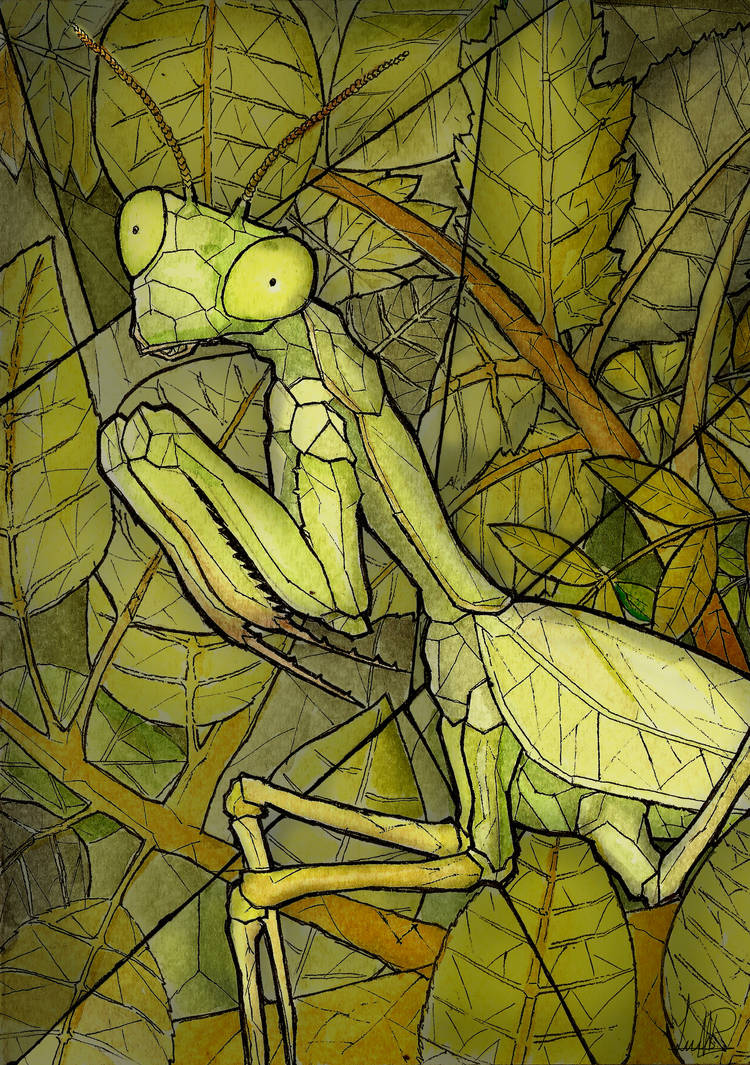 Mants Deviantart Mantis by LuisP001 on DeviantArt