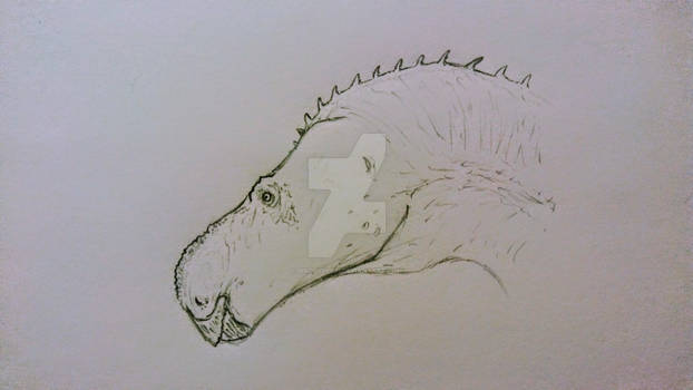 Iguanodon bernissartensis