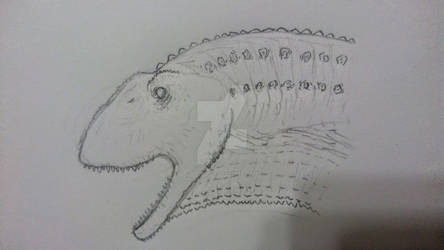 Shunosaurus lii sketch