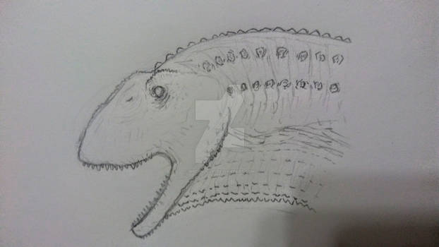 Shunosaurus lii sketch