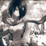 Mikasa sig