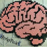 Brains
