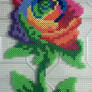 Rainbow Rose