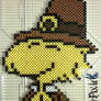 Woodstock Pilgrim