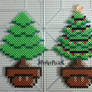 Christmas Tree Mushrooms