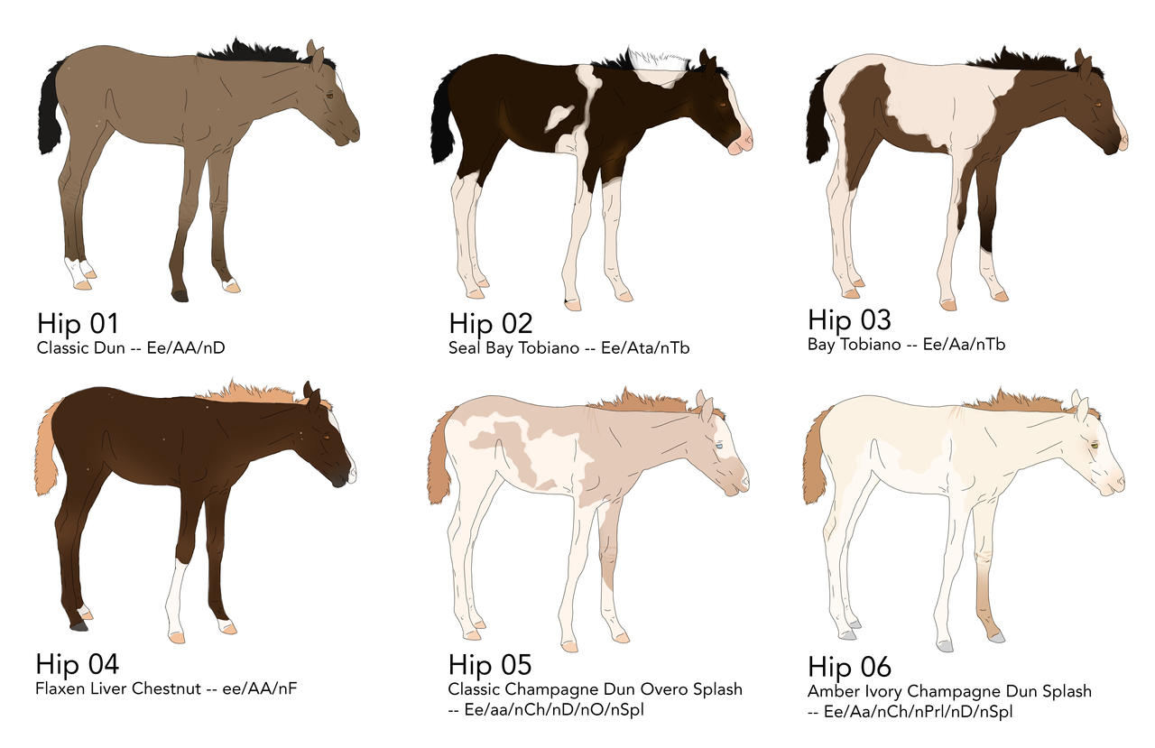 HARPG Lined Adopts - 1/6 Open