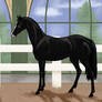 Carbonado | SWB Stallion