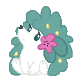 Shaymin Base 1